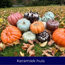 Keramiek huis